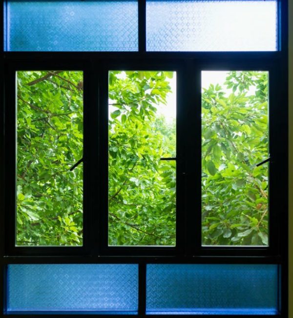 black metallic window frame with green tree nature background